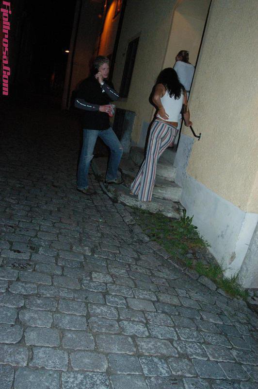 DSC 0094