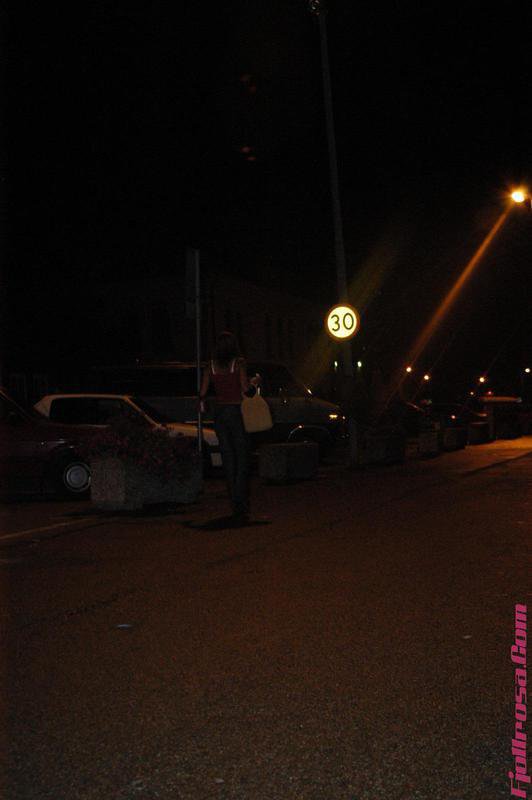 DSC 0111