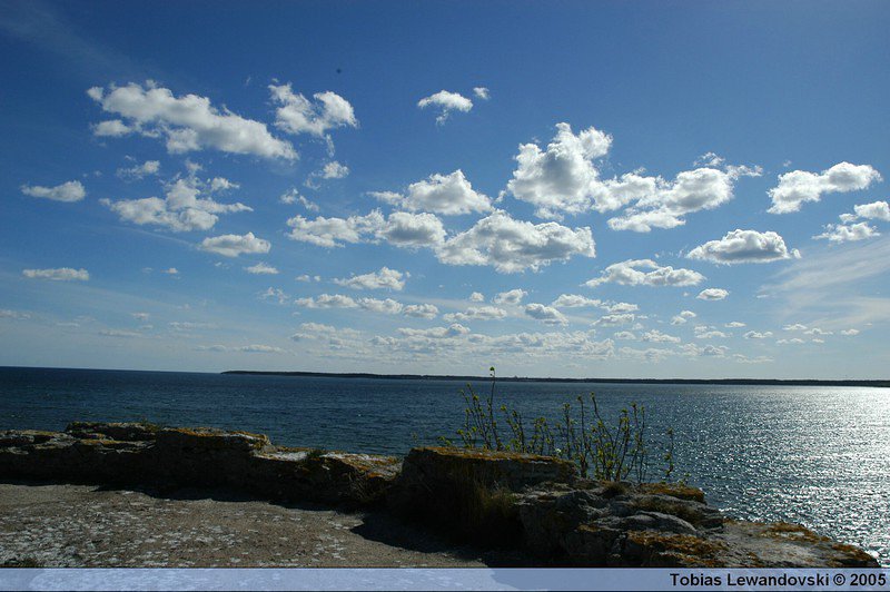 DSC 4529
