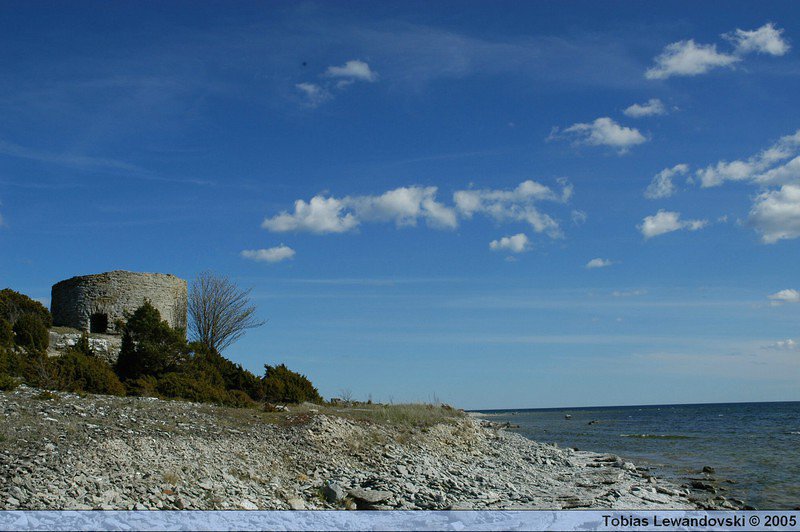DSC 4543