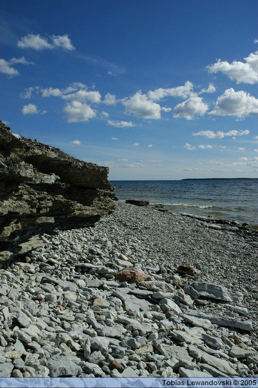 DSC 4547