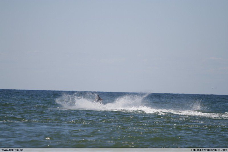 _MG_6633.JPG