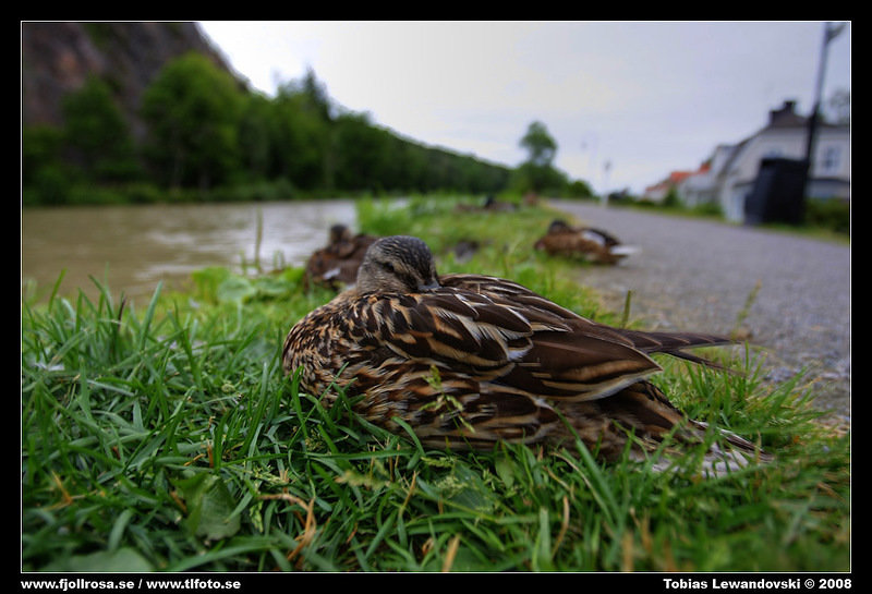 _L8D2343_4_5_tonemapped.jpg