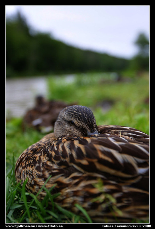 _L8D2346_7_8_tonemapped.jpg