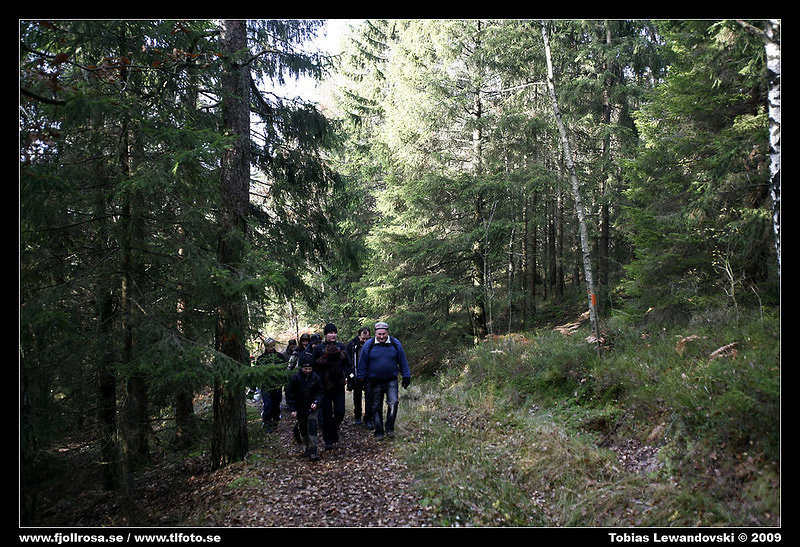 _MG_6323.jpg