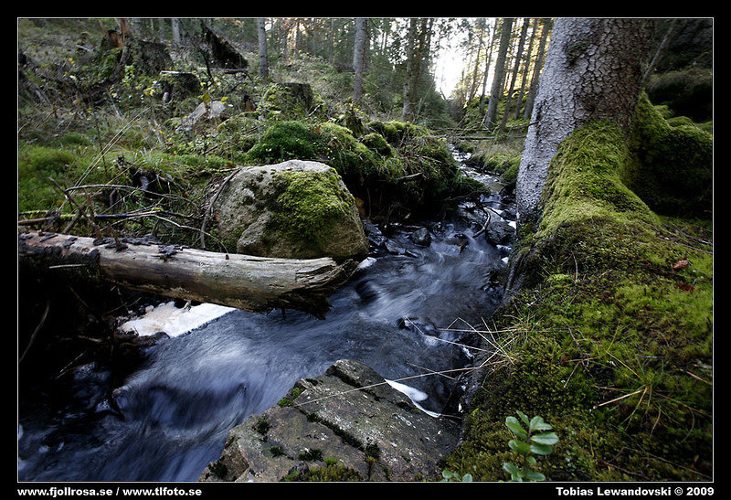 _MG_6564.jpg