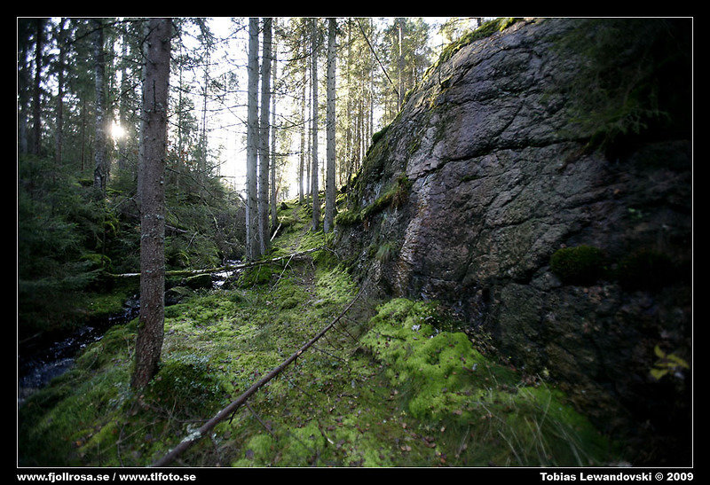 _MG_6590.jpg