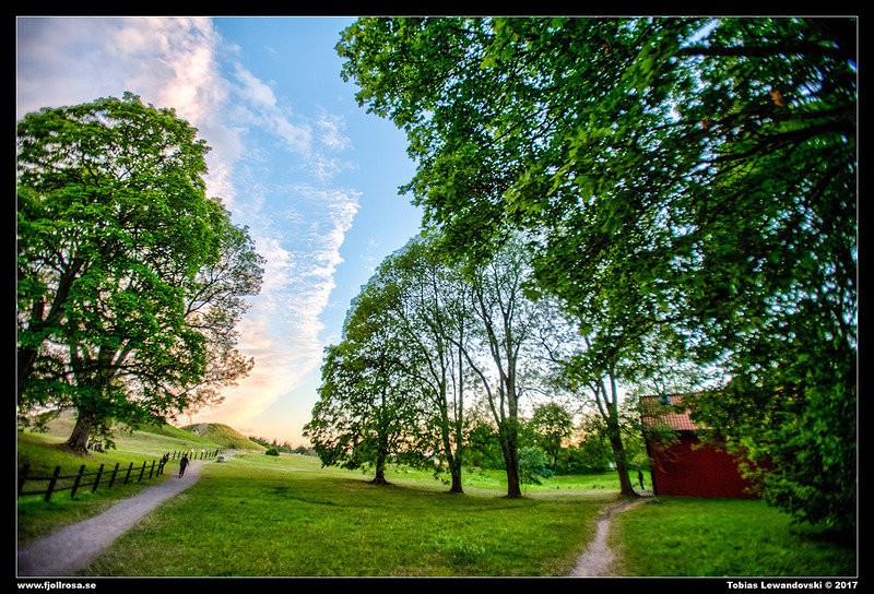  MG 9314 HDR