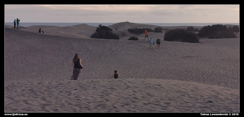2019-12-18 17.56.57