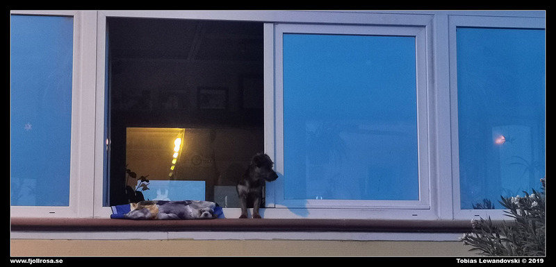 2019-12-18 18.27.16-1
