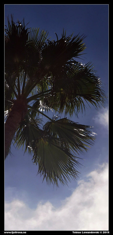 2019-12-21 12.31.40