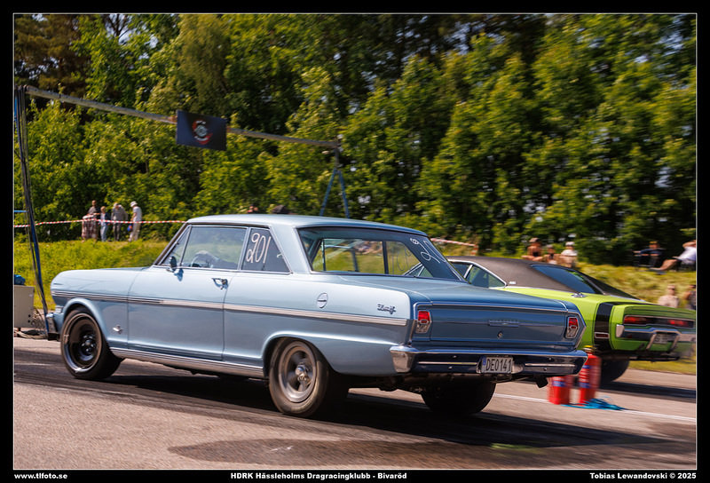 098A9596