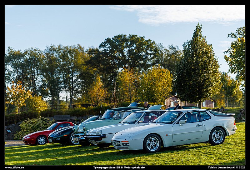 098A7081