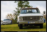 098A1039