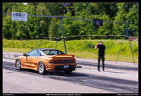 098A9446