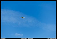 098A6356
