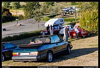 098A6767